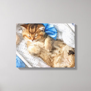 Little Kitty Among The Yarns Canvas Print