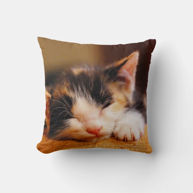 Little Kitty Sleeping Cushion (Front)