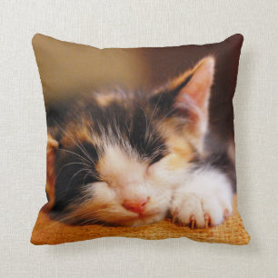 Little Kitty Sleeping Cushion