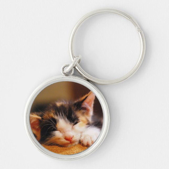 Little Kitty Sleeping Key Ring (Front)