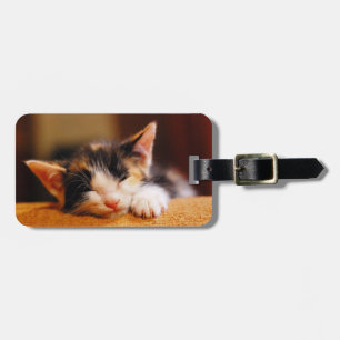 Little Kitty Sleeping Luggage Tag