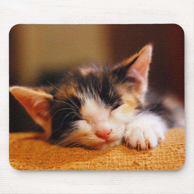 Little Kitty Sleeping Mouse Pad (Front)