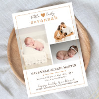 Little Lady Baby Girl Photo Collage Birth