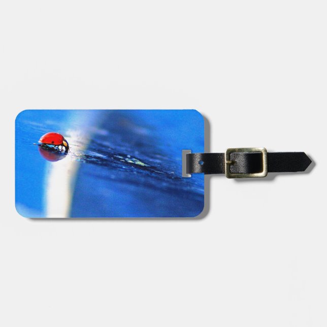 Little Lady Luggage Tag (Front Horizontal)