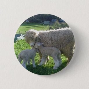 LITTLE LAMB 6 CM ROUND BADGE