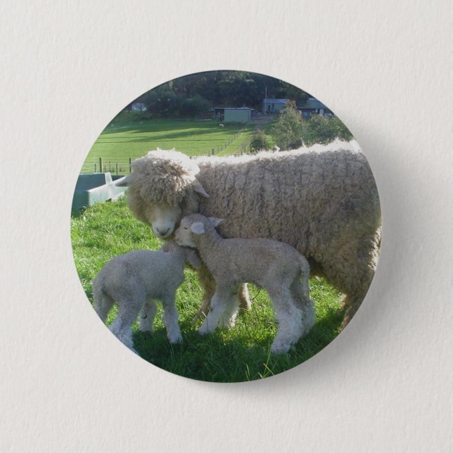 LITTLE LAMB 6 CM ROUND BADGE (Front)