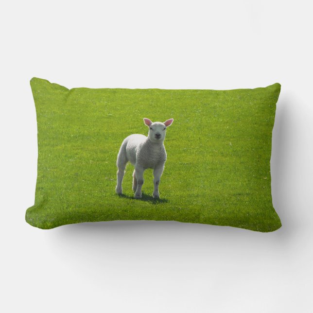 Little Lamb Lumbar Cushion (Front)