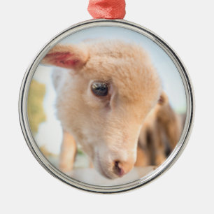 Little Lamb Metal Tree Decoration