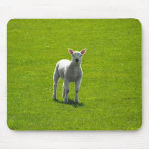 Little Lamb Mouse Pad