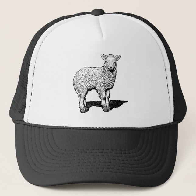 Little Lamb Trucker Hat (Front)