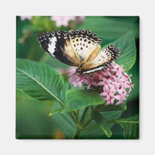 Little Leopard Wings Magnet