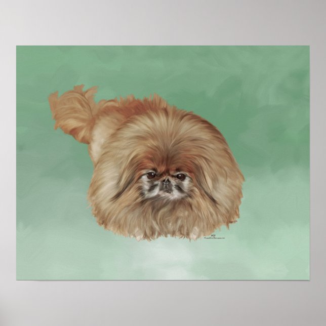 Little Lion Dog Poster (Front)