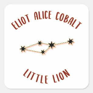 Little Lion Square Sticker