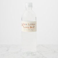 Little Love Bug Baby Shower