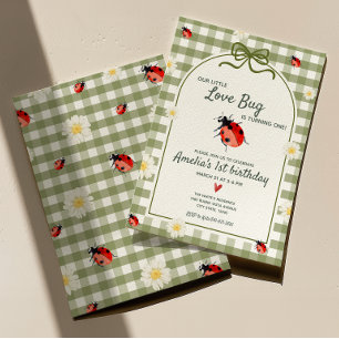 Little Love Bug Ladybug 1st Birthday Invitation