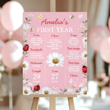 Little Love Bug Ladybug Birthday Milestone Sign