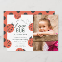 Little Love Bug Ladybug Girl Birthday Photo