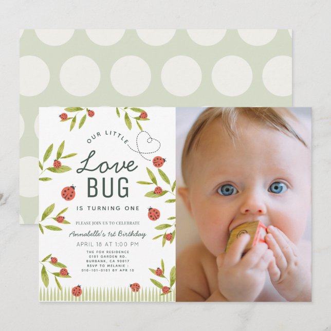 Little Love Bug Ladybug Girl Photo 1st Birthday In Invitation (Front/Back)