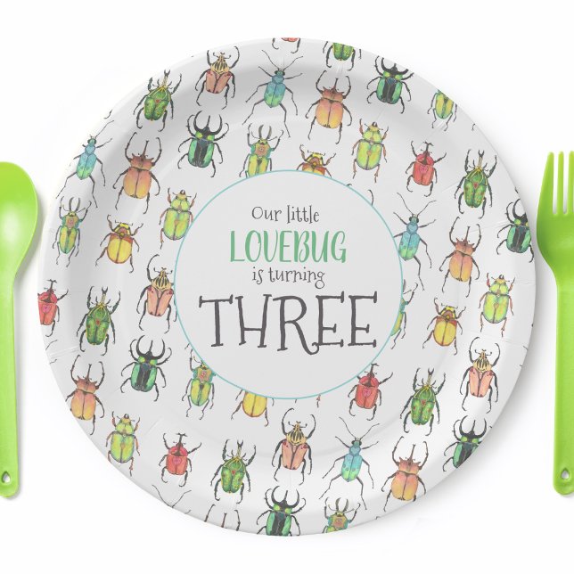 Little Lovebug Birthday Party Paper Plate (Personalized Love Bug Party Plates)
