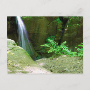 Little Lyons Falls, Mohican State Park, Ohio Postcard