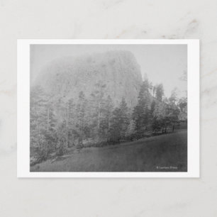 Little Missouri Butte Beyod Field and Trees Postcard