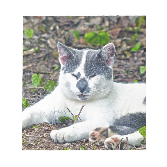 Little Mister Pants Notepad (Front)