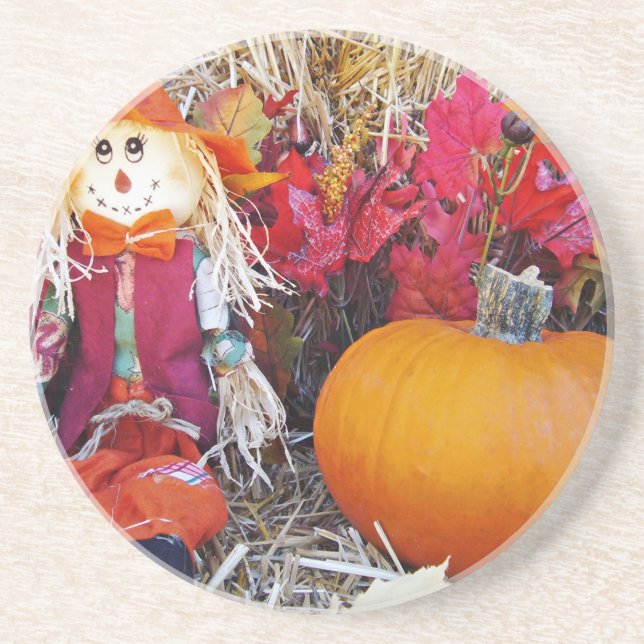 Little Mister Scarecrow Coaster (Front)