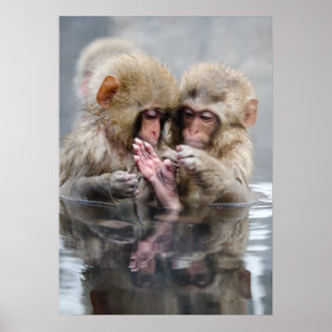 Little Monkeys   Hot Springs, Japan Poster