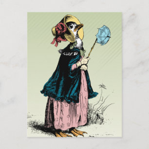 Little Mrs Duck Postcard