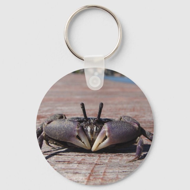 Little Mud Crab Key Ring (Front)