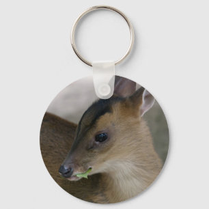 Little Muntjac Key Ring