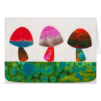 Little Mushies