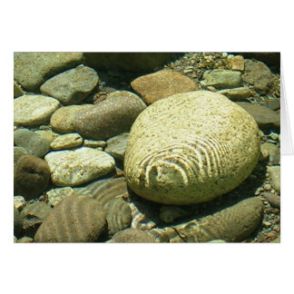 Little N. Fork Santiam River near Salem Oregon