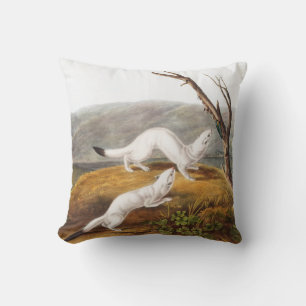 Little Nimble Weasel Putorius agilis Illustration Cushion