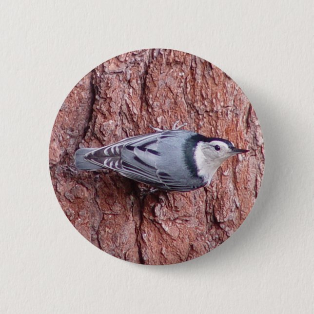 Little Nuthatch Bird Button (Front)