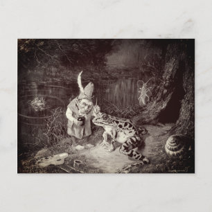 Little Old Man of the Woods Postcard