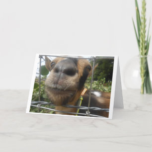 LITTLE OLD ME WISHES LITTLE OLD YOU BIRTHDAY CARD