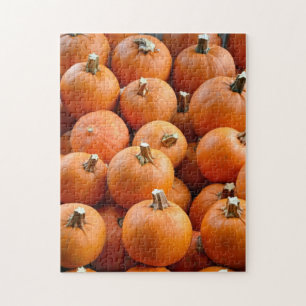 Little orange pumpkins display puzzle