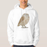 Little Owl 2011