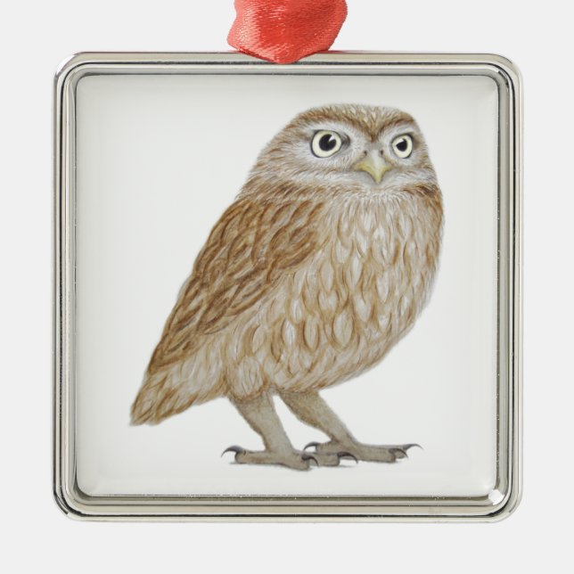 Little Owl 2011 Metal Tree Decoration (Front)