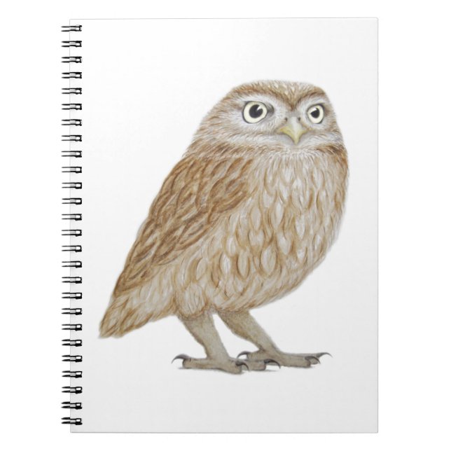 Little Owl 2011 Notebook (Front)