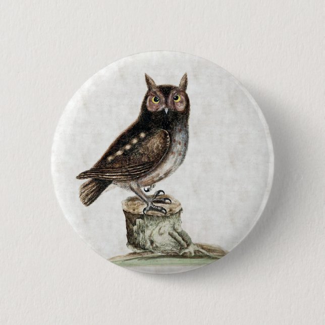 Little Owl 6 Cm Round Badge (Front)