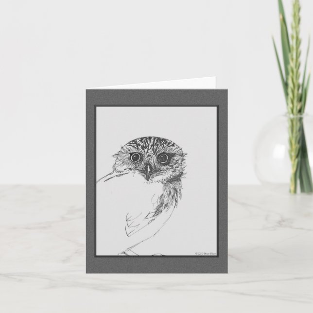 Little Owl Blank Note Cards (Front)