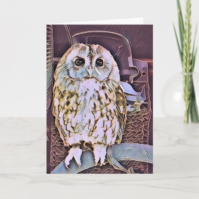 LITTLE OWL   CARD (Front)