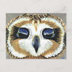 Little Owl Eyes postcard