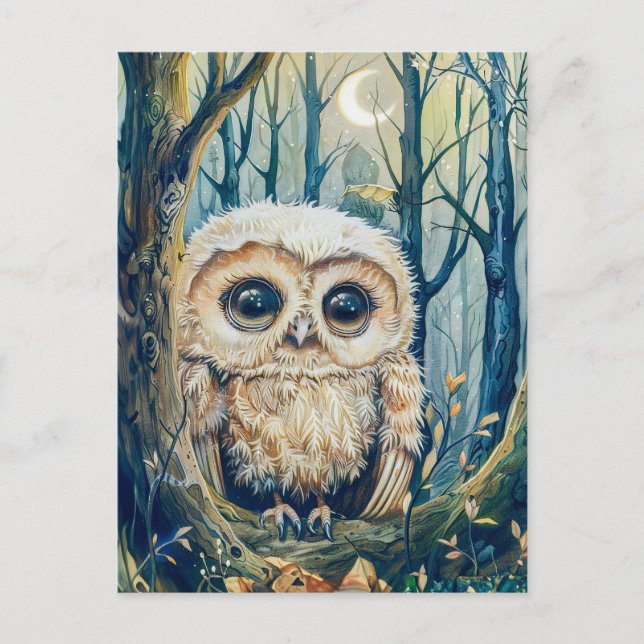 Little Owl on Branch at Half Moon Postcard (Front)