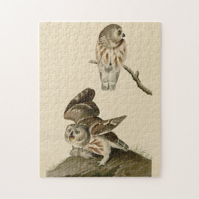 Little Owl (Saw-whet) Audubon's Birds of America Jigsaw Puzzle (Vertical)