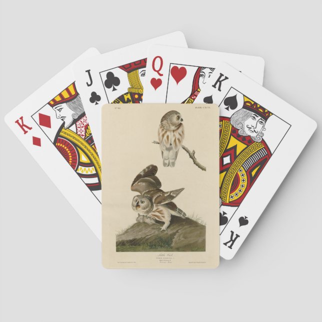 Little Owl (Saw-whet) Audubon's Birds of America Playing Cards (Back)