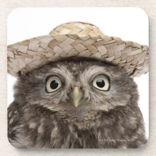 Little Owl wearing a straw hat - Athene noctua Coaster