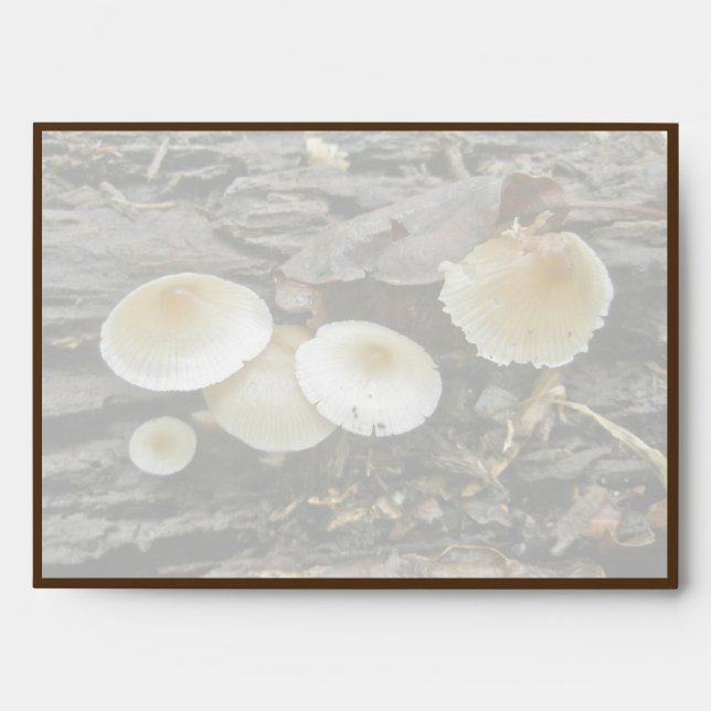 Little Parasols Mushrooms on Log Envelopes (Front)